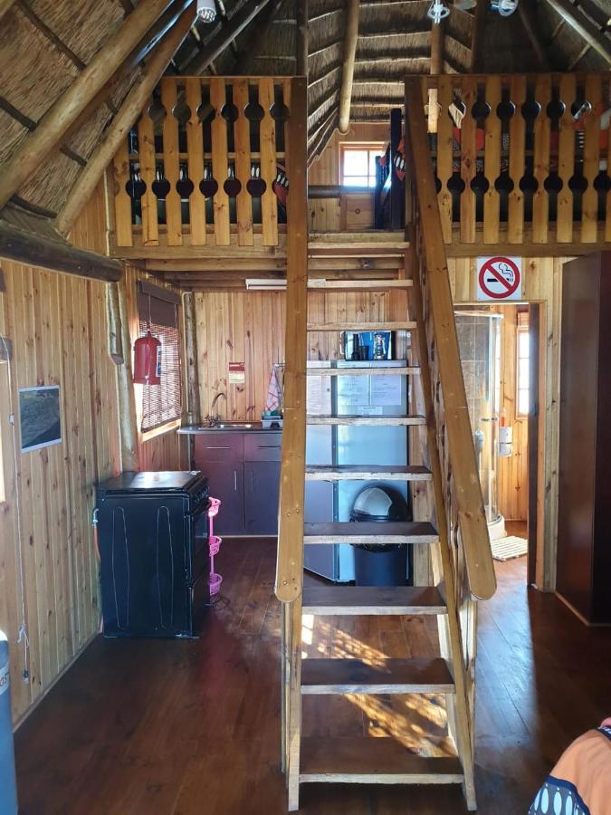 Honne-Pondokkies Hondeklipbaai Экстерьер фото